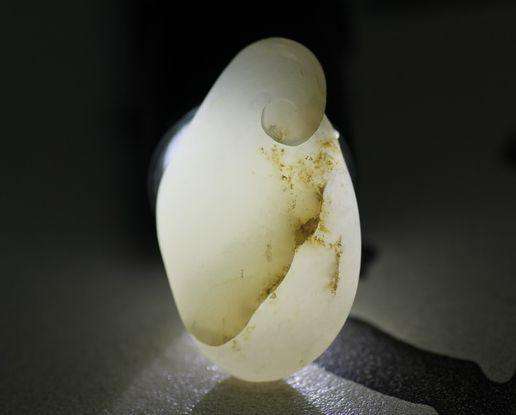 1584497525199107.jpg 1584497525199107.jpg