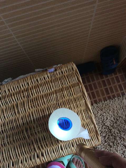  寶媽買了紫光手電，衣服上好多熒光劑，看的心慌害怕