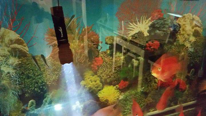 手電PT10，為戰(zhàn)術(shù)而生